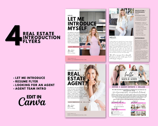 Introduction  Agent Flyer